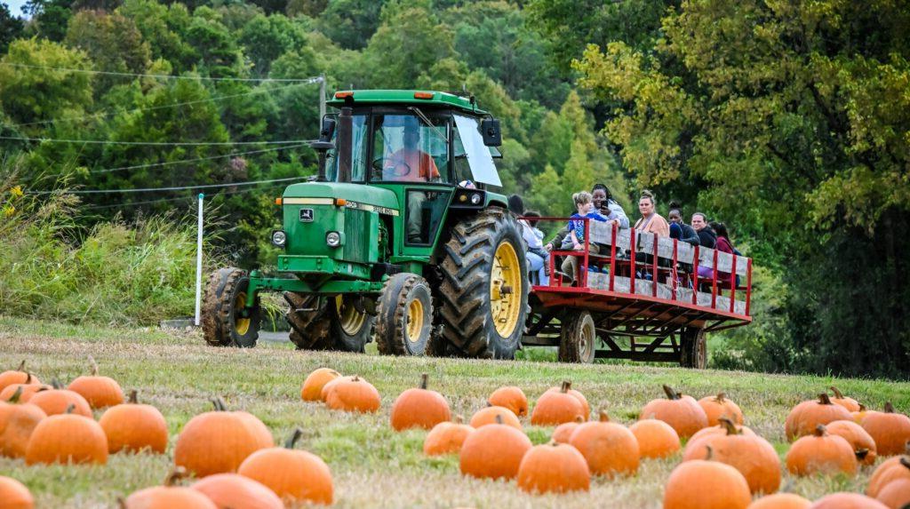 tractor ride at pumpkin patch